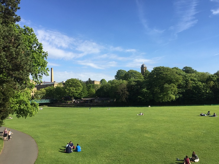 bradfordsaltsmill Gezgin Leylek